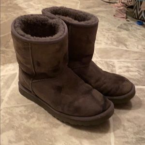Chocolate ugg boots